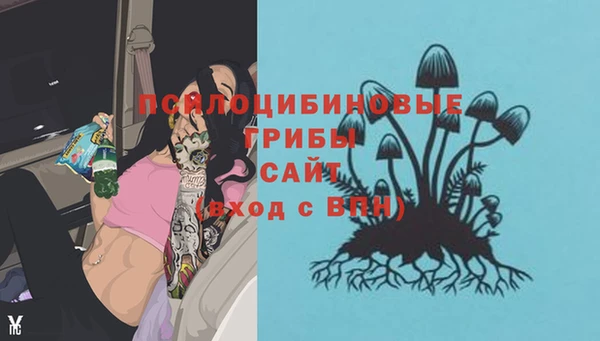 синтетический гашиш Алексин