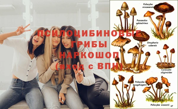 метамфетамин Алзамай