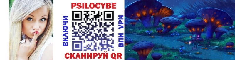 Псилоцибиновые грибы мицелий  купить   Осташков 